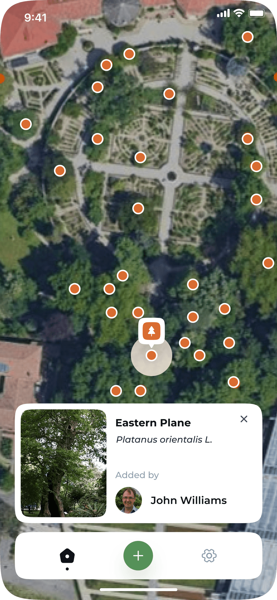 Tremap app: a selected tree on the map